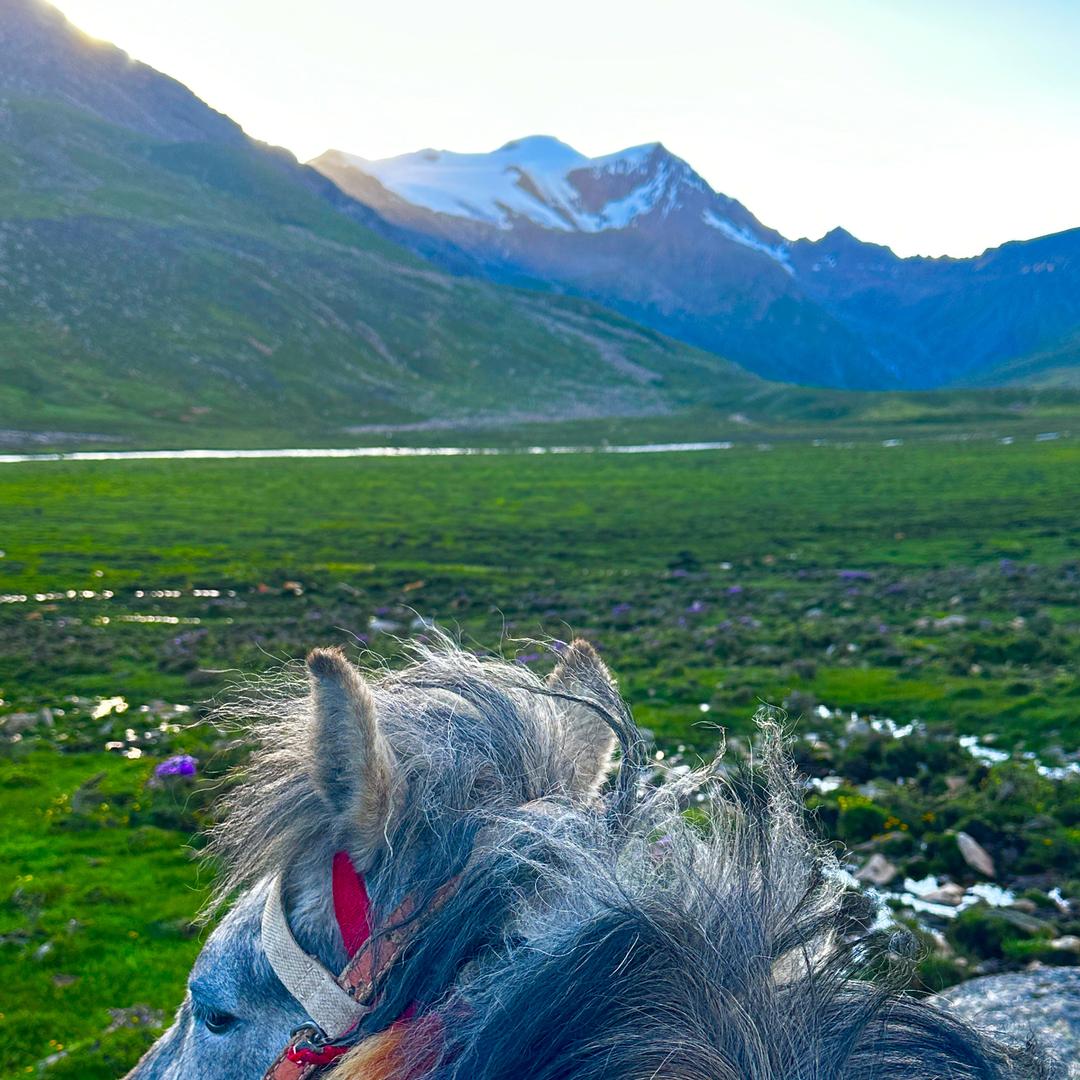 ཕན་【青仁】ཤུལ་🦅