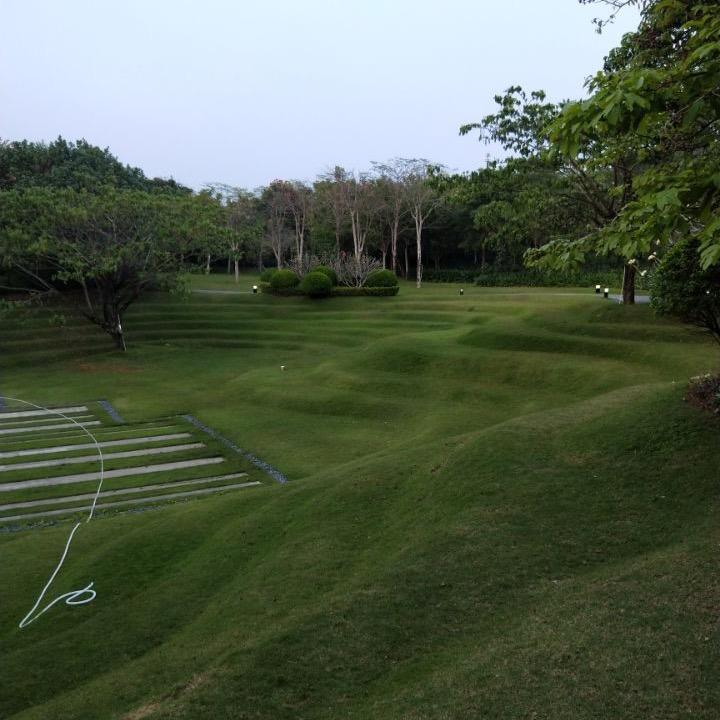 CF科技（驱动）