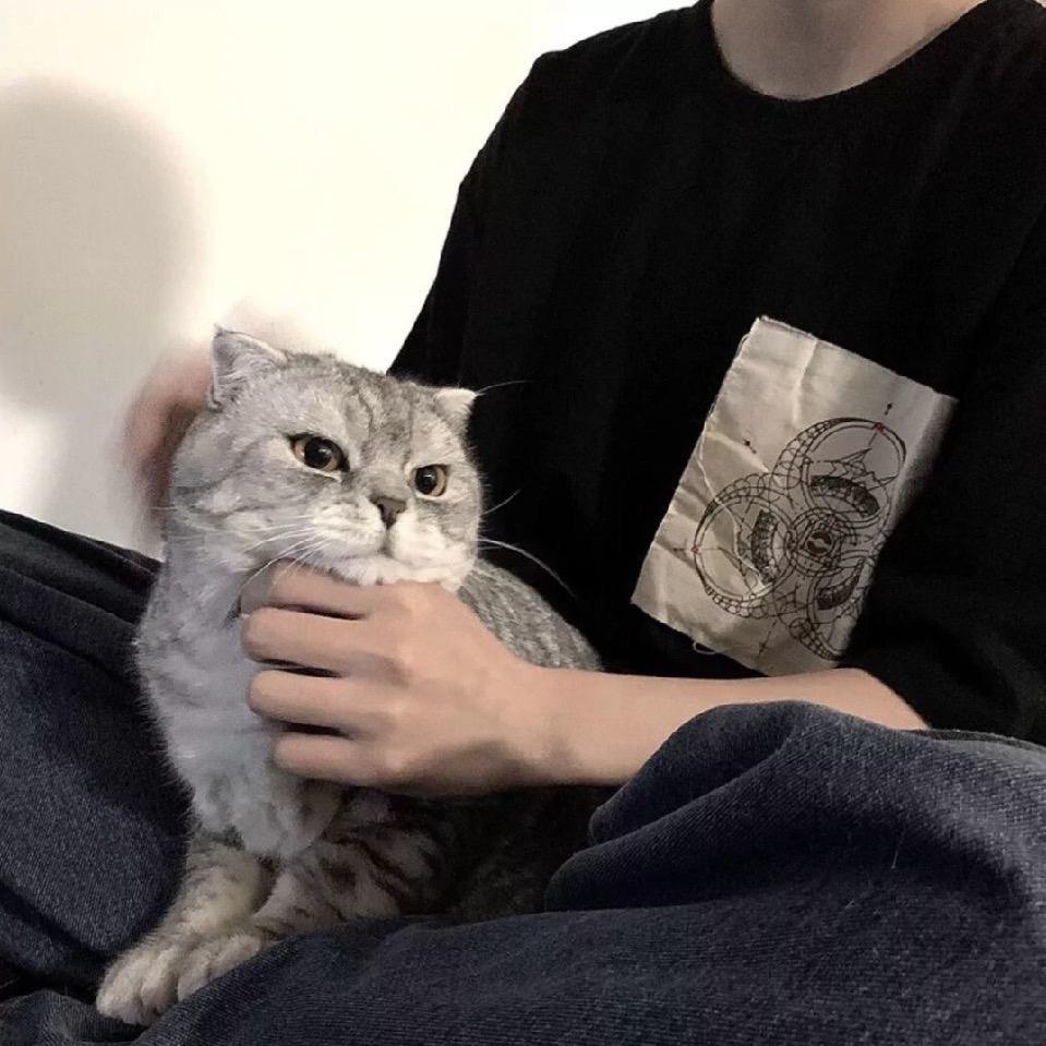 豫C男人