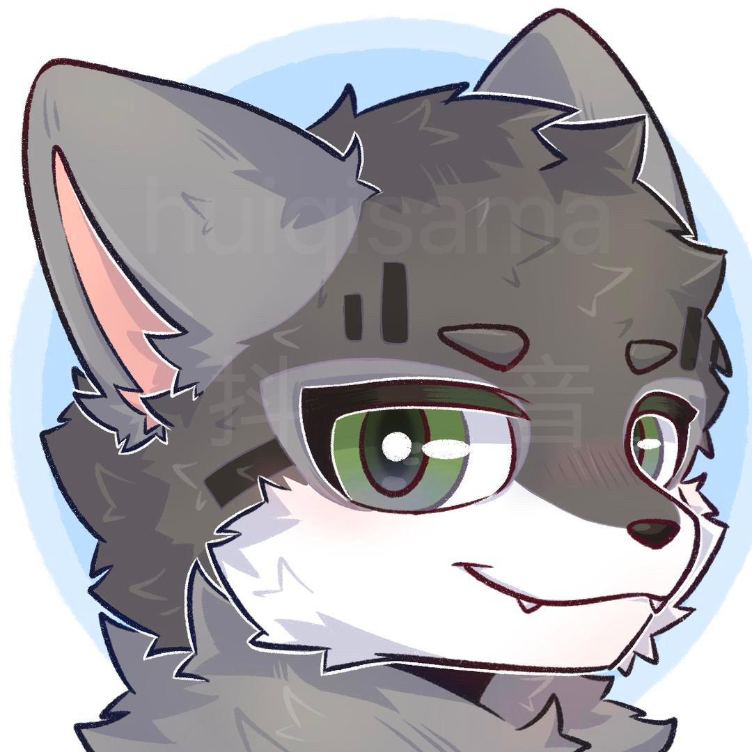 灰崎（肝毛中）➡️绒兽