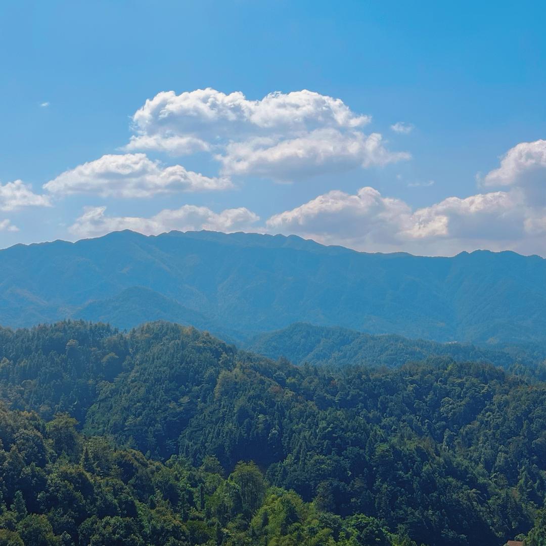山娃子跑山