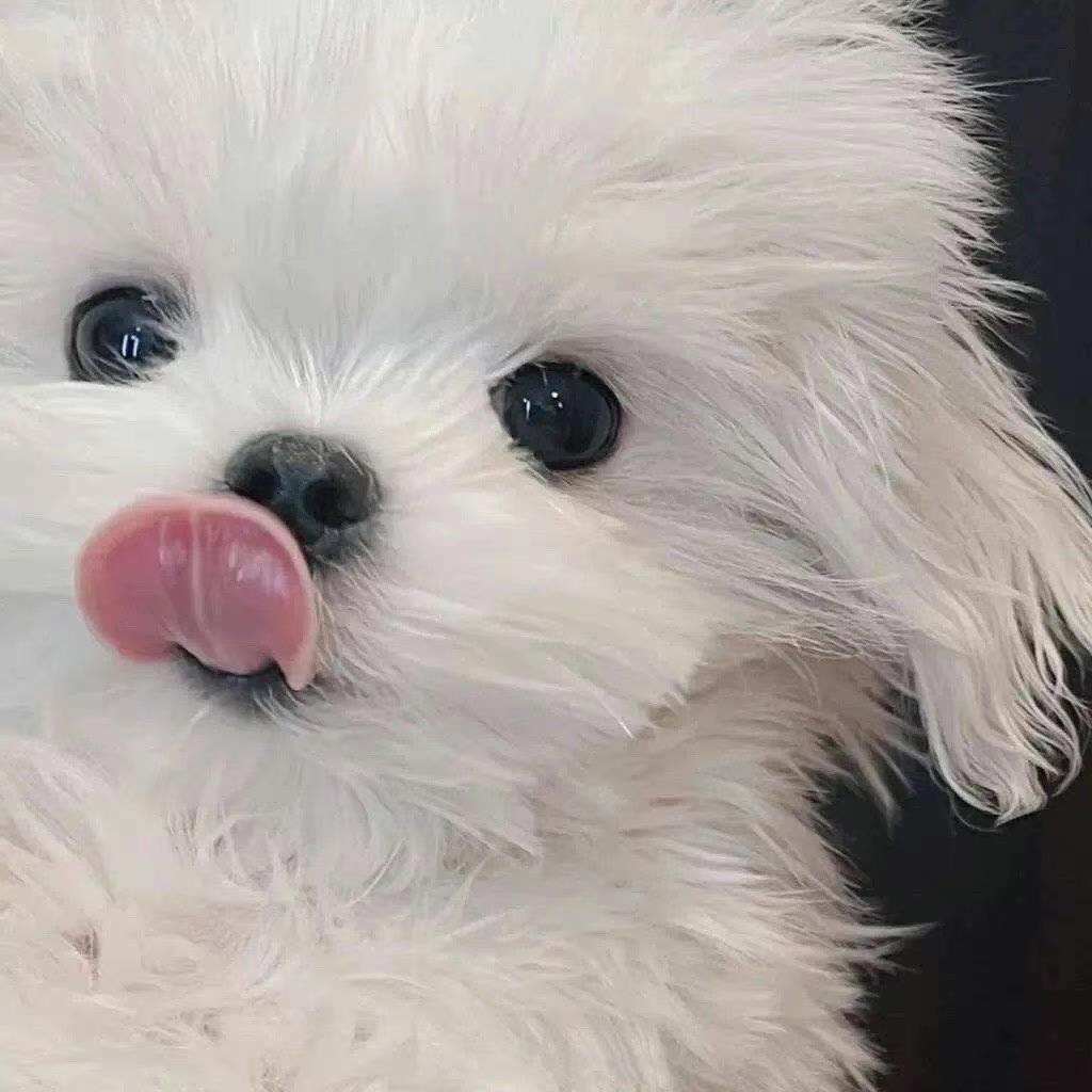 屿3eya