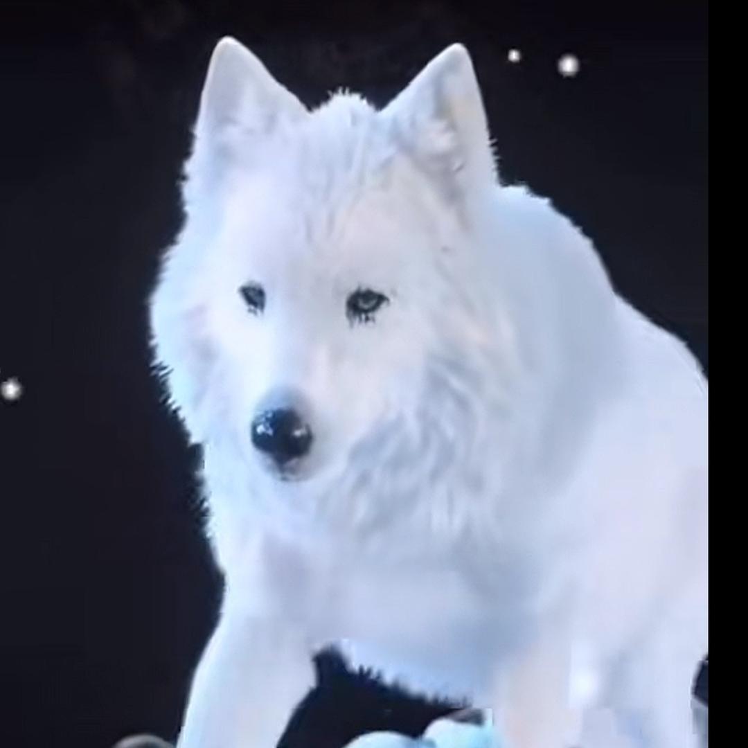 💫大飛💫