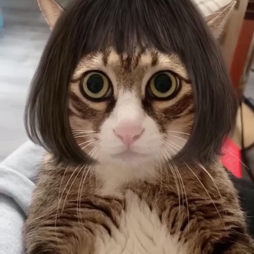Max-Shumin