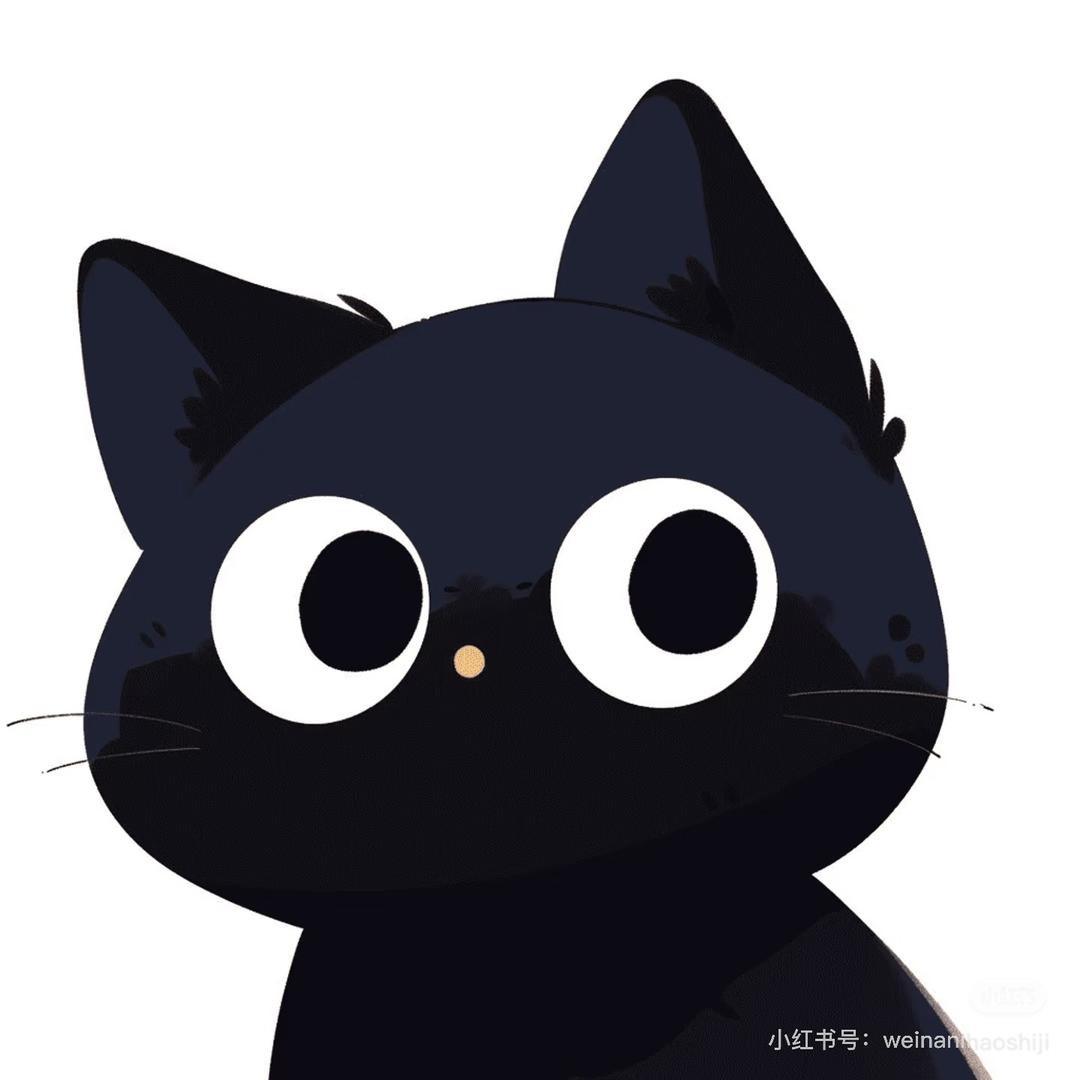 大猫探店日记