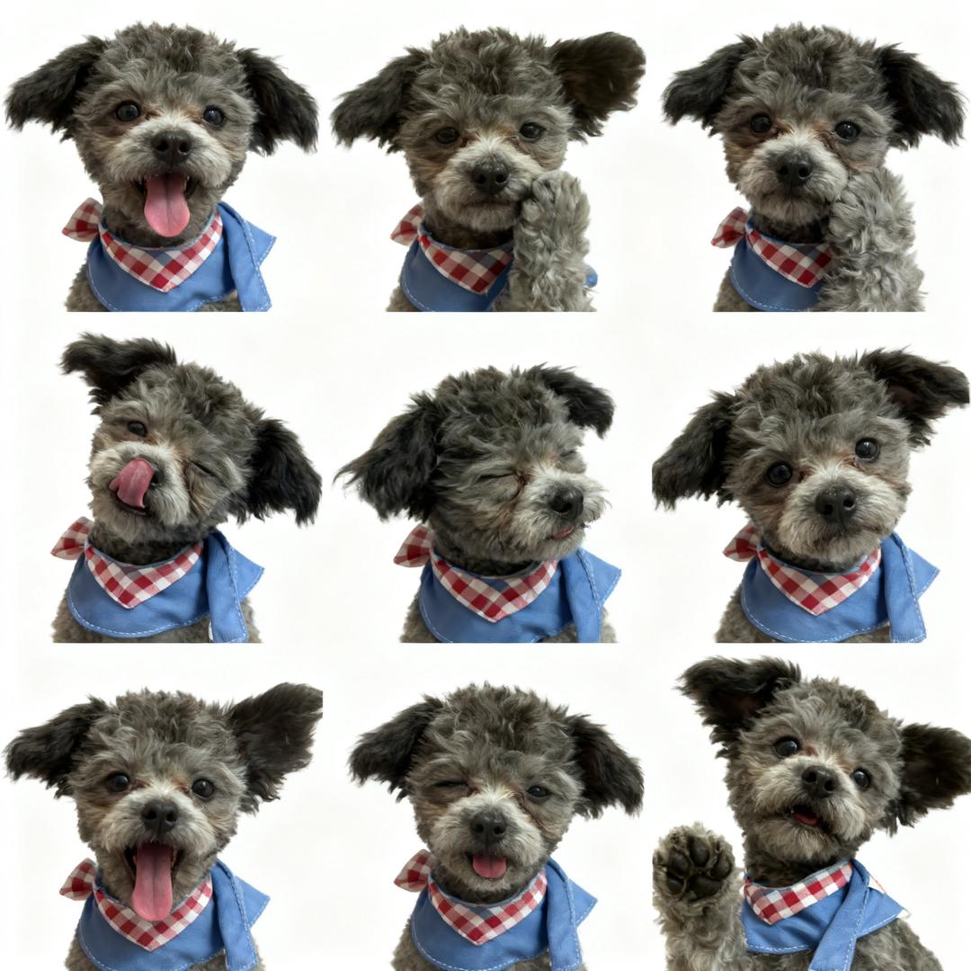 黑松露蛋炒饭～