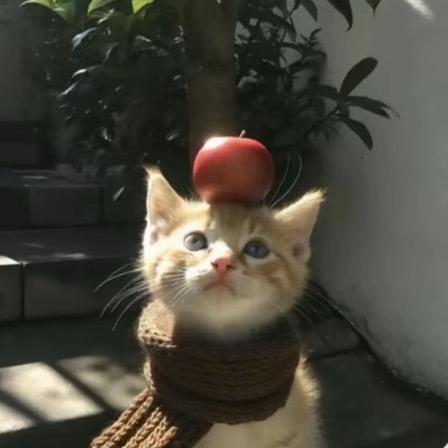 淤泥生椰拿铁！