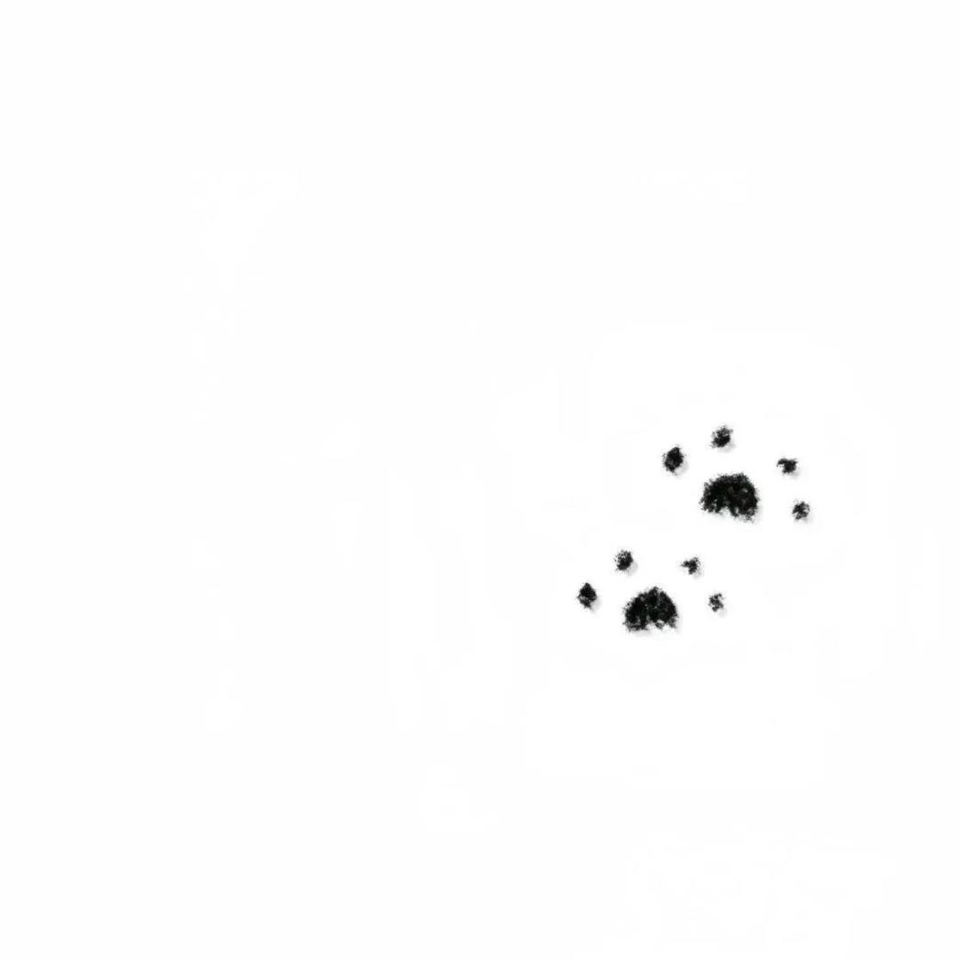 Ww /•᷅•᷄\୭