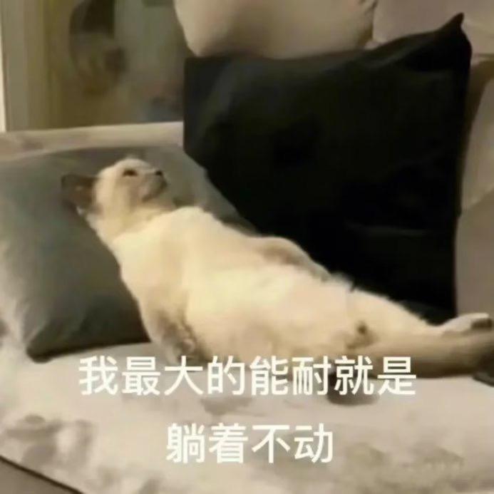 Liu泞潞