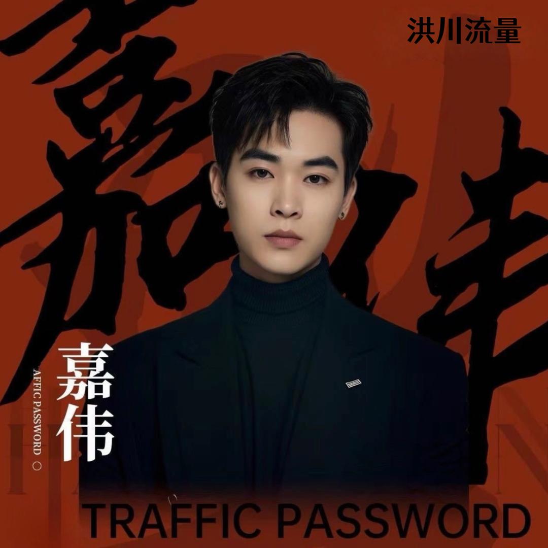 嘉伟洪川网络
