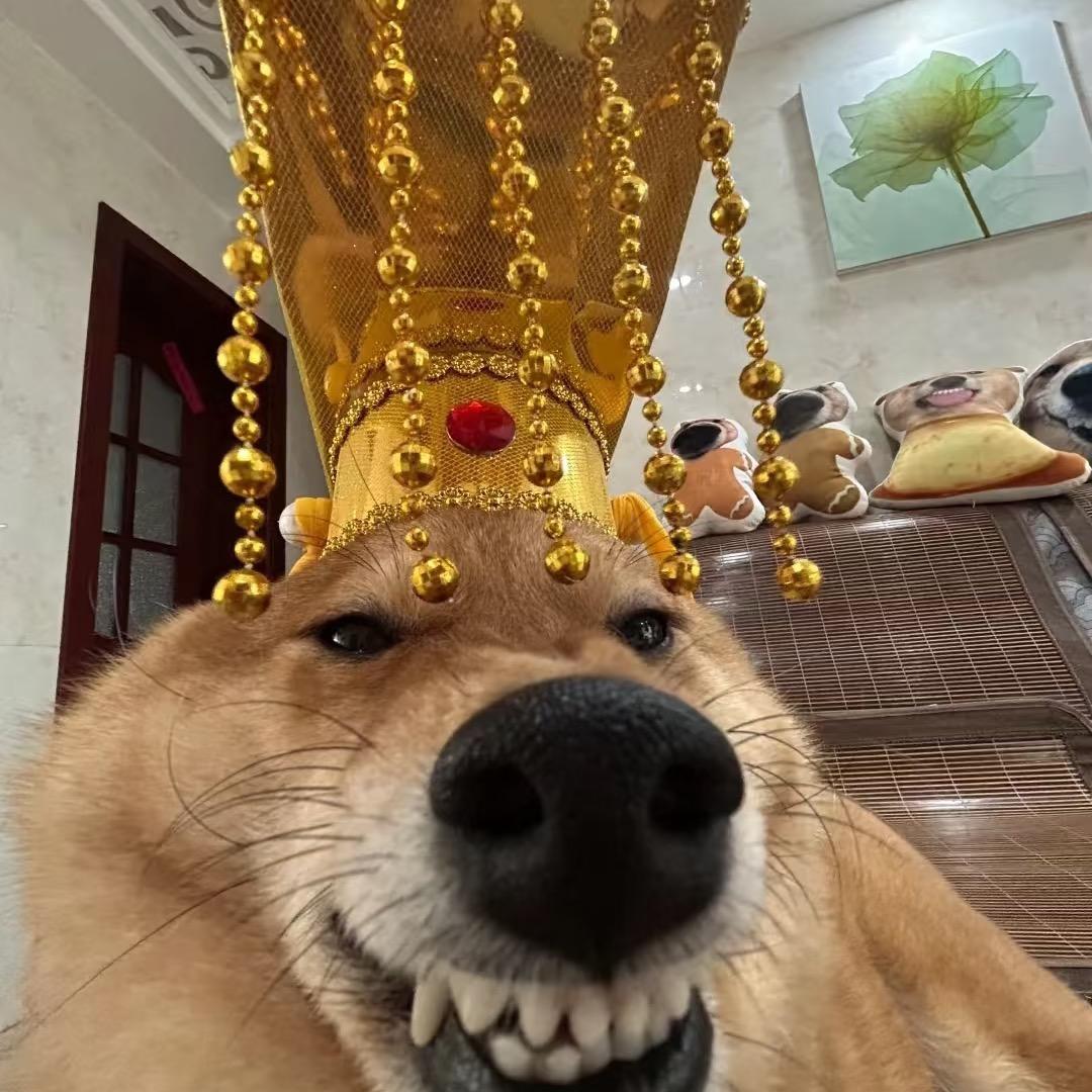 南宫（三角洲行动）