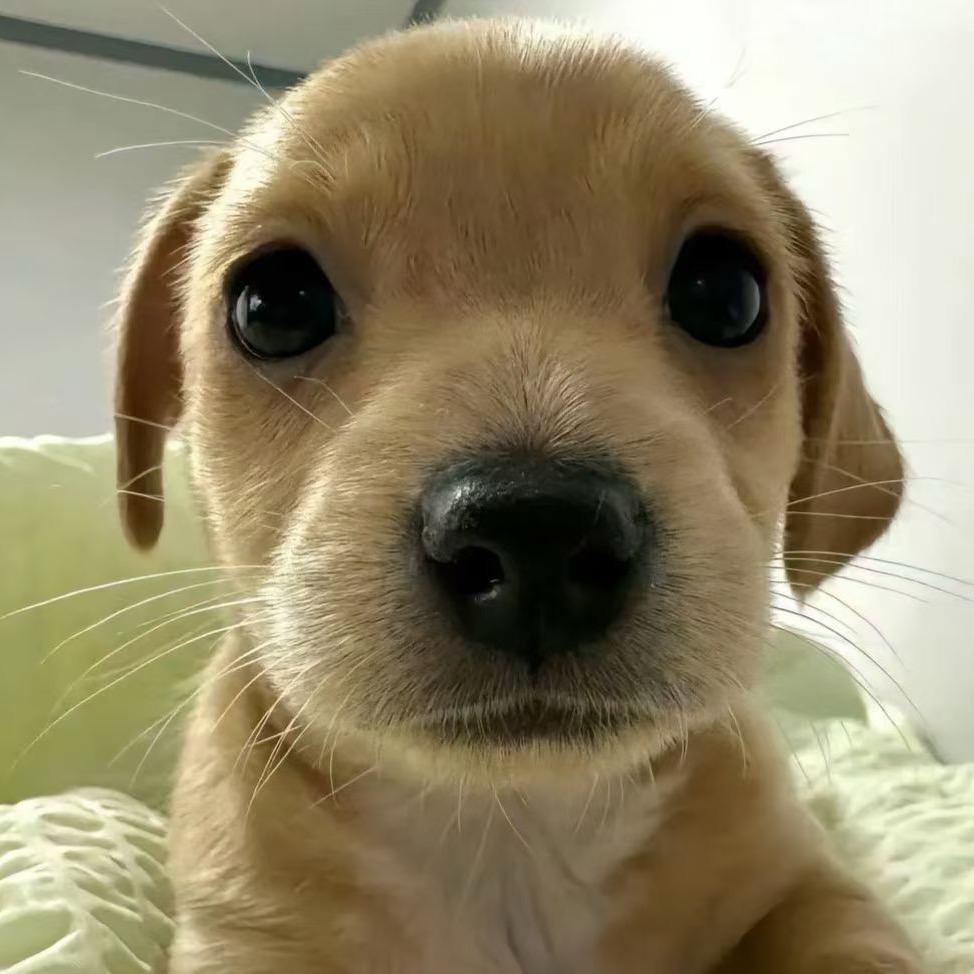 没烦恼（我要戒烟版）