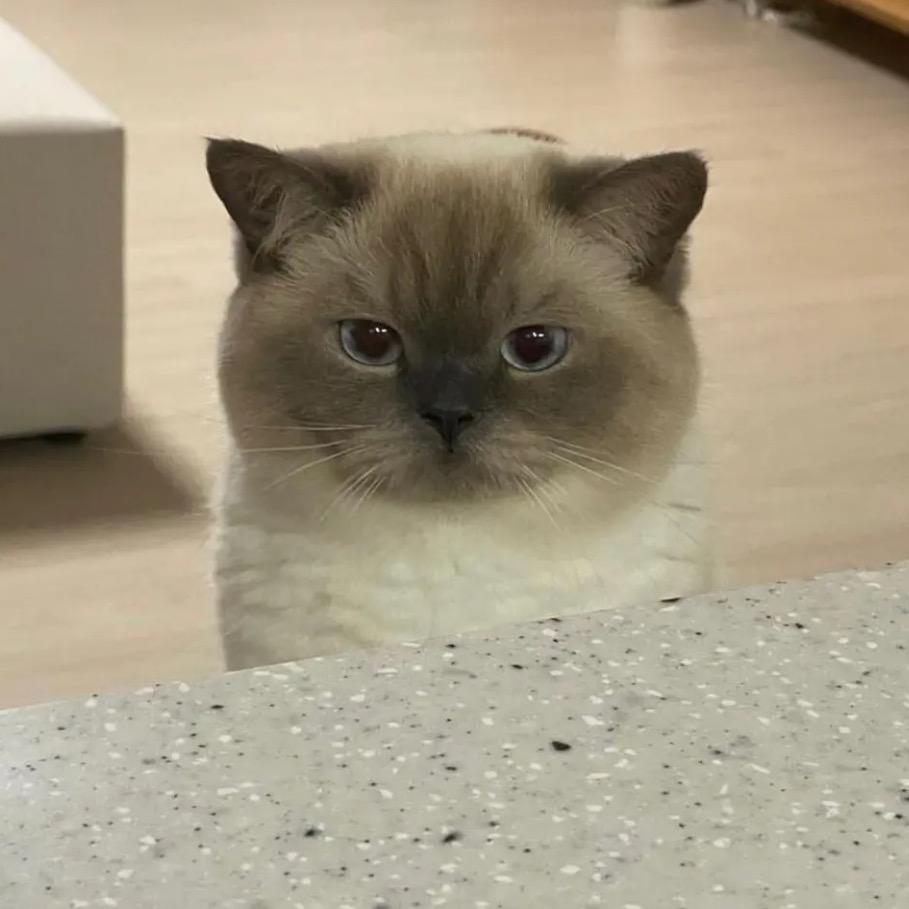 我先睡个觉