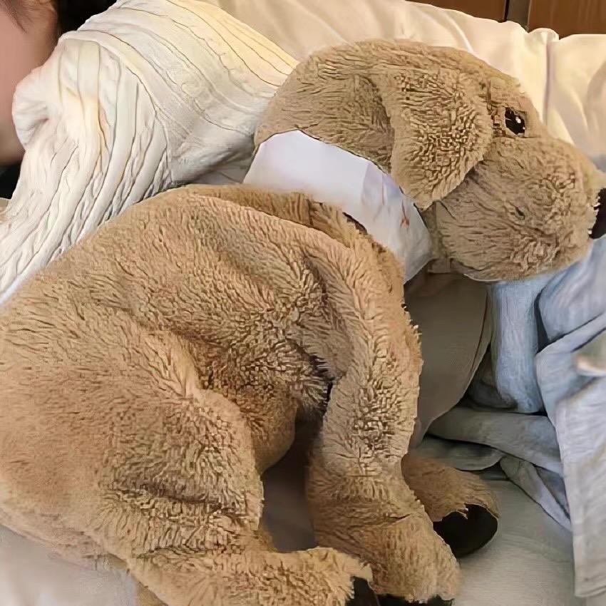 麻麻说名字长才会引起别人的关注