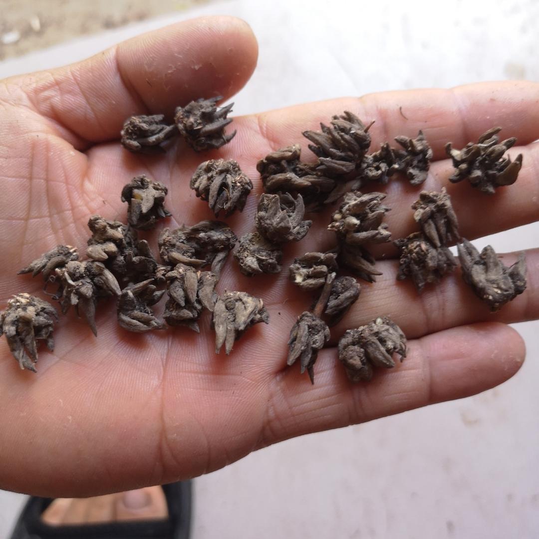 大别山山货甄选