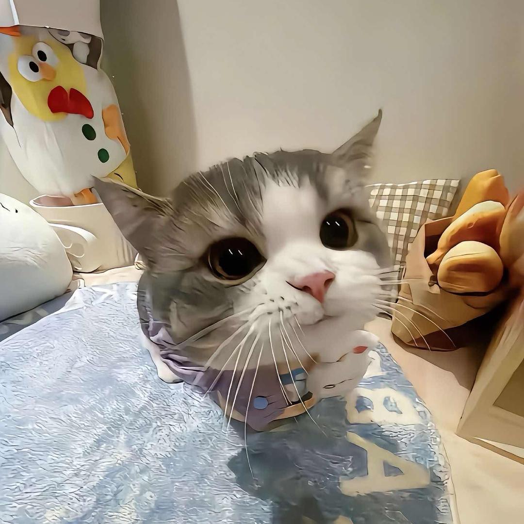 冬渡（三角洲行动）