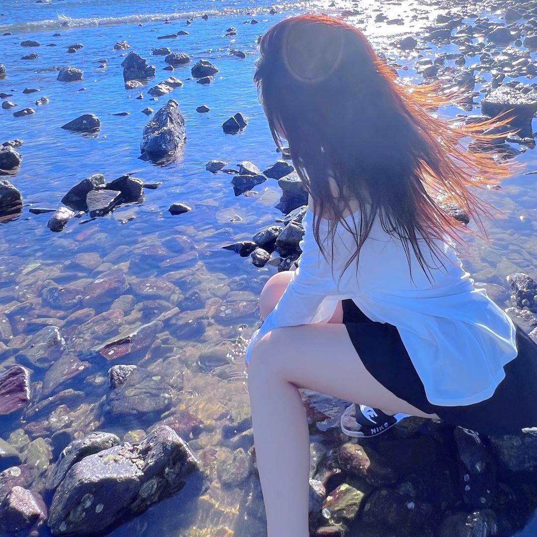 苏宝