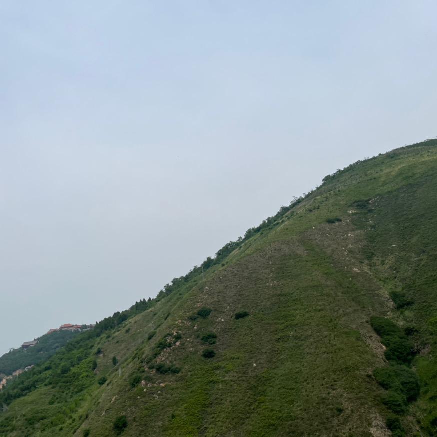 倩倩的