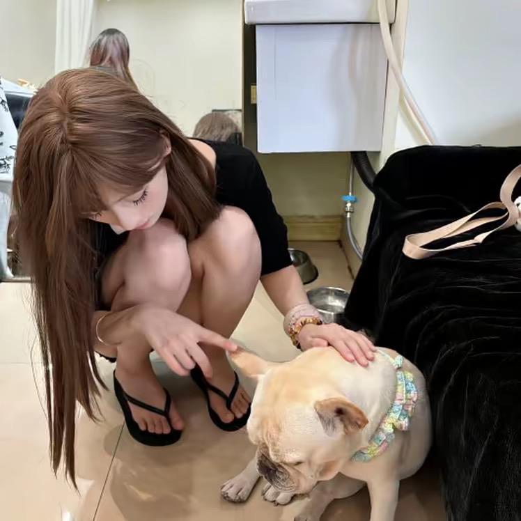 壹耶耶