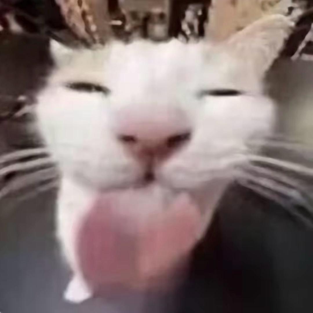 老公站街我数钱