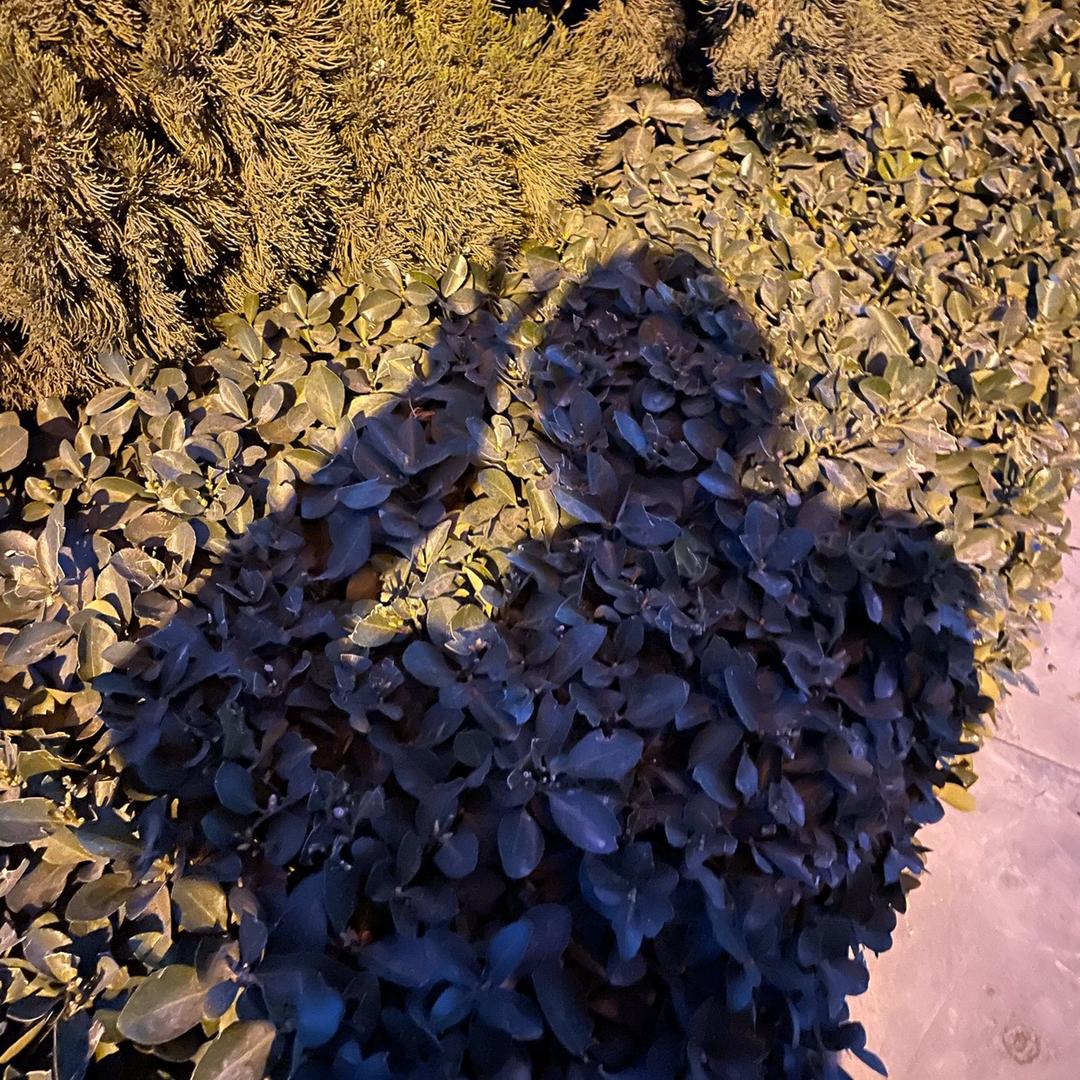 阿欣💕