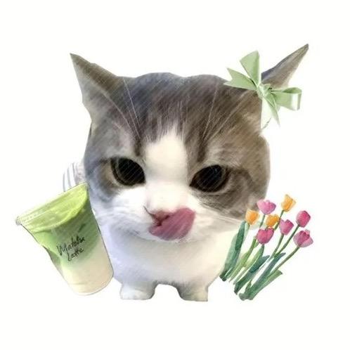 三火儿