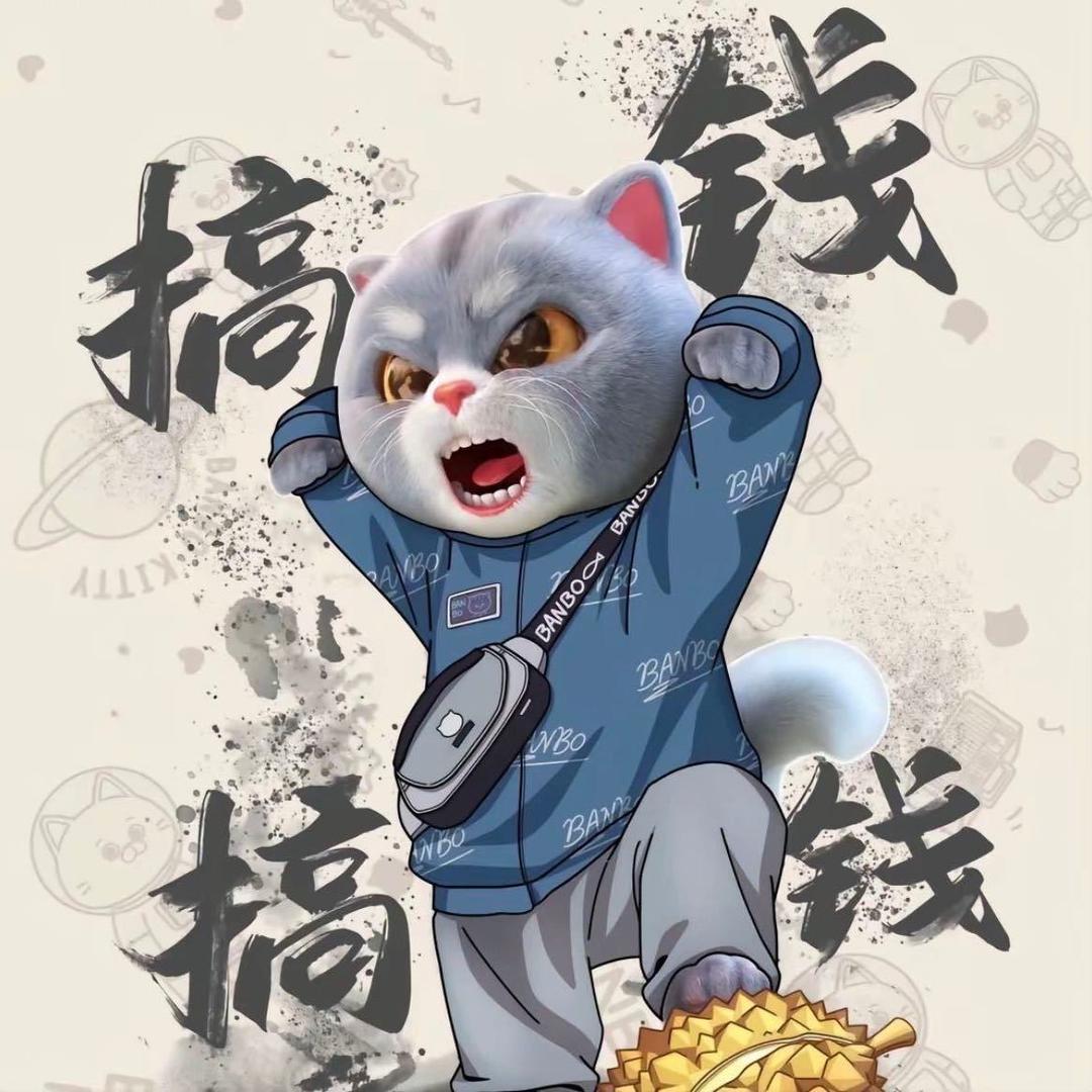 不会骑快的SR