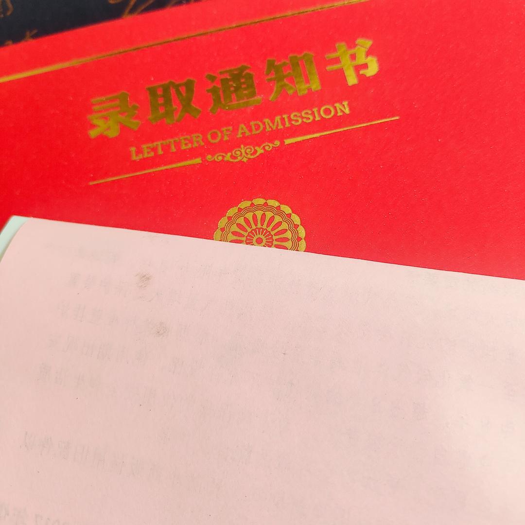 金哥网创