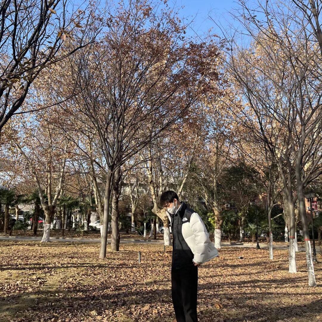 黎晨