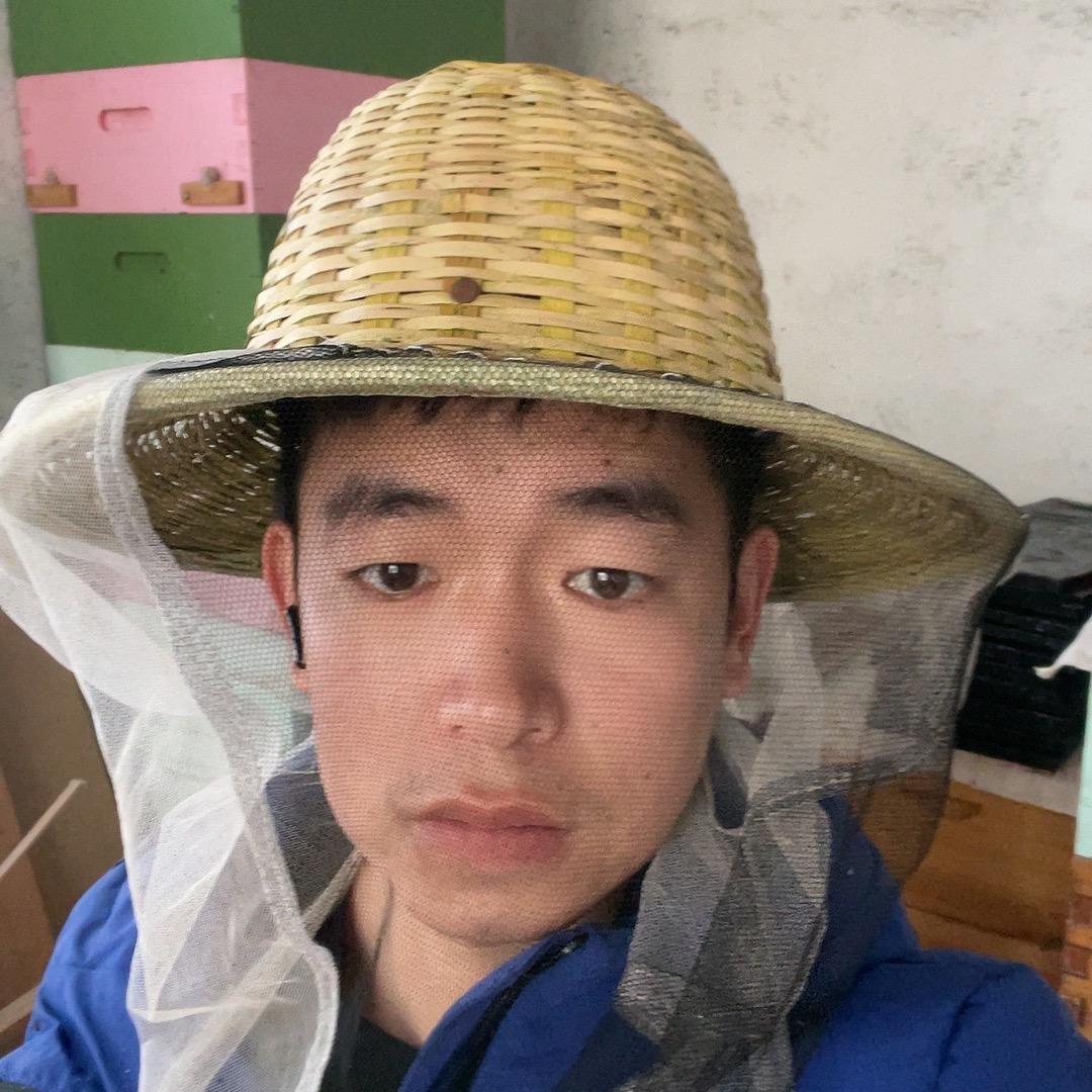 新乡王氏蜜蜂多箱体—-良种蜂王示范场