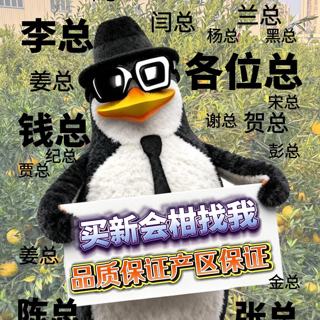 ✈️🍊新会-果农农✌︎' ֊'🍊