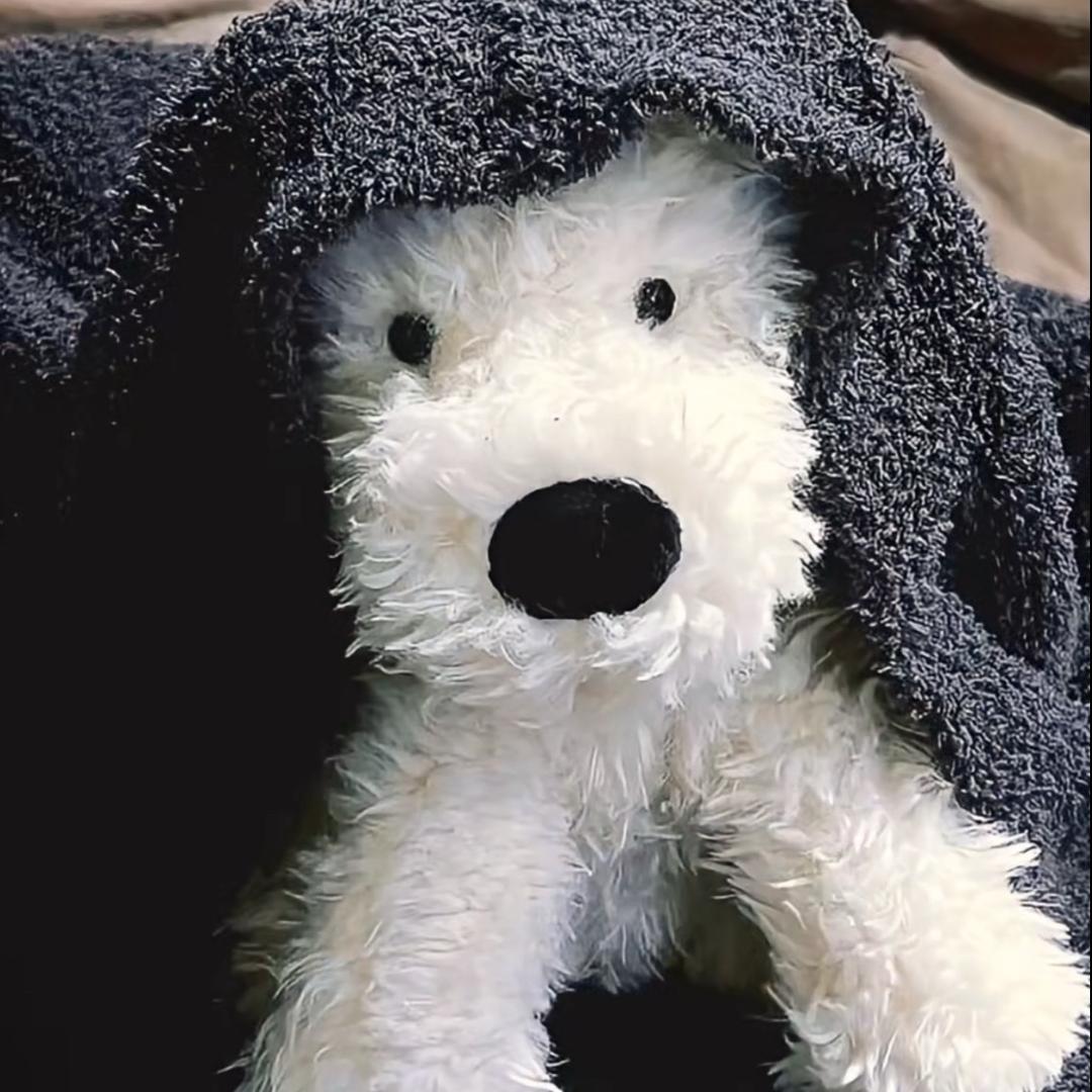 二蛋指甲盖儿·穿戴甲