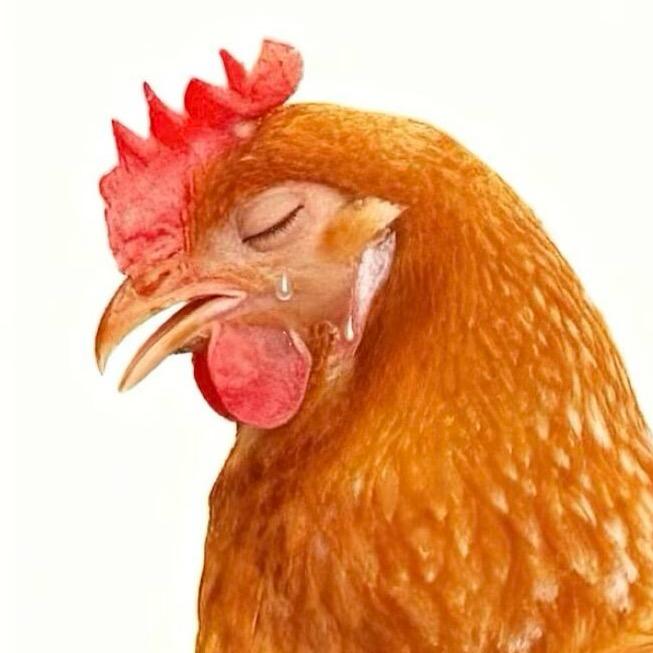 我最善良啦（不接稿）