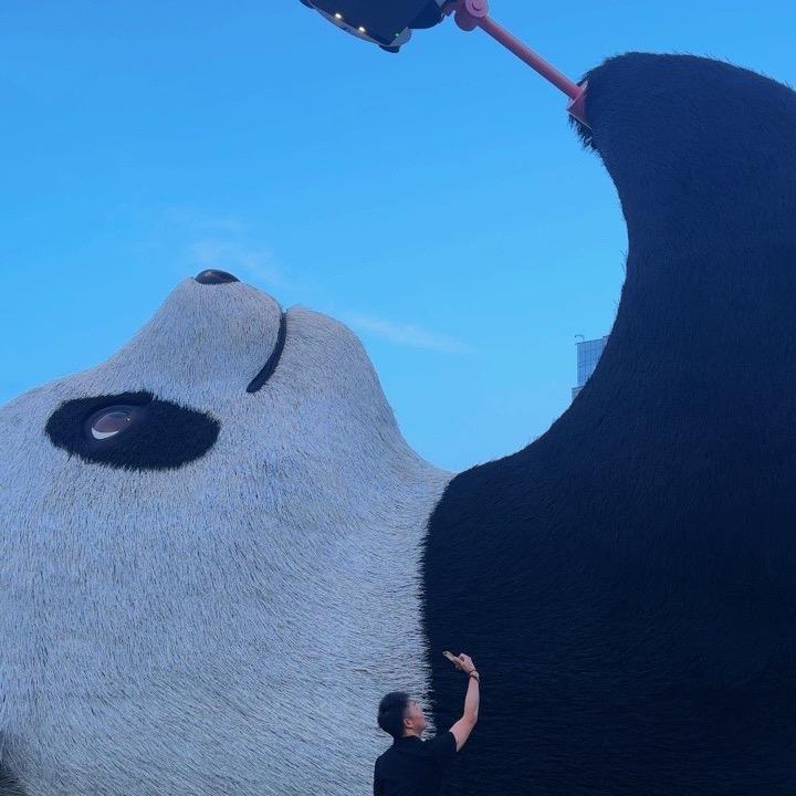 喜得好小少爷