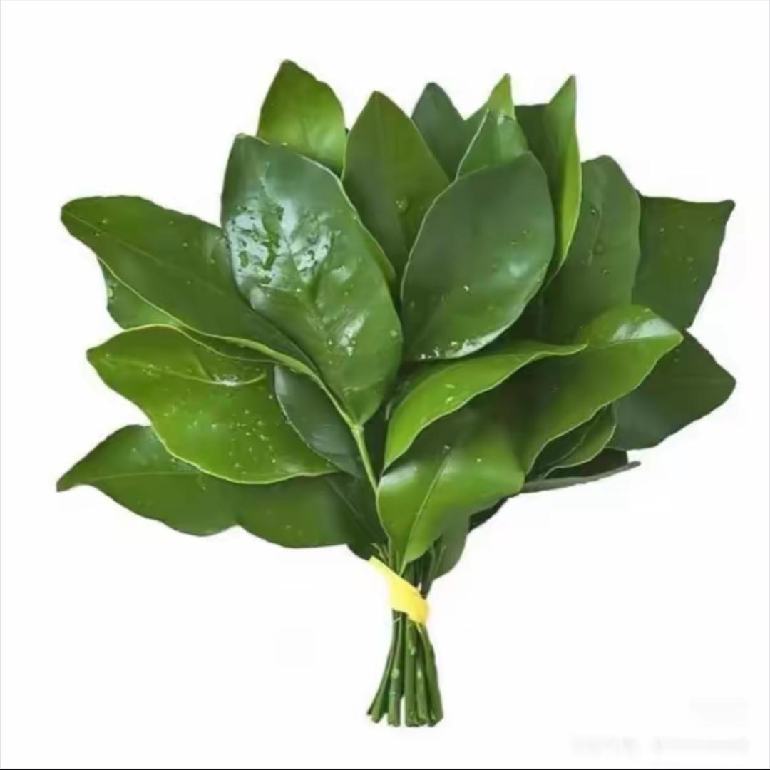 Xxi