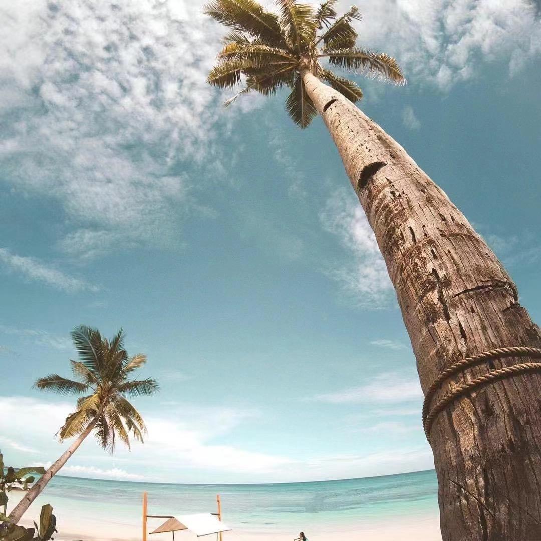 海岛旅游前线员