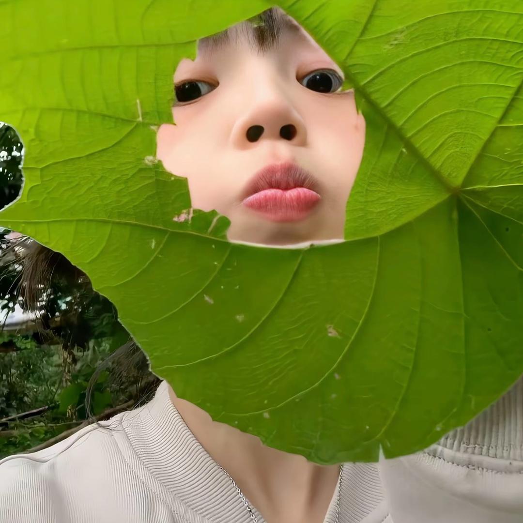 困告辽