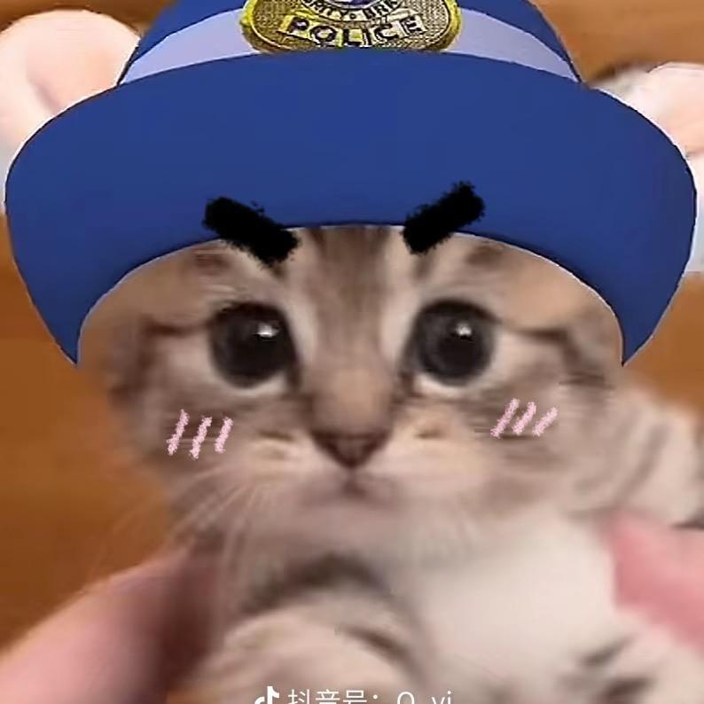 小新和他的猫