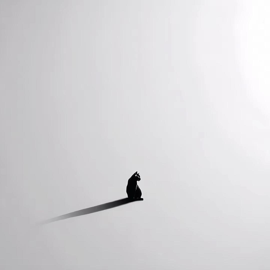 白茶