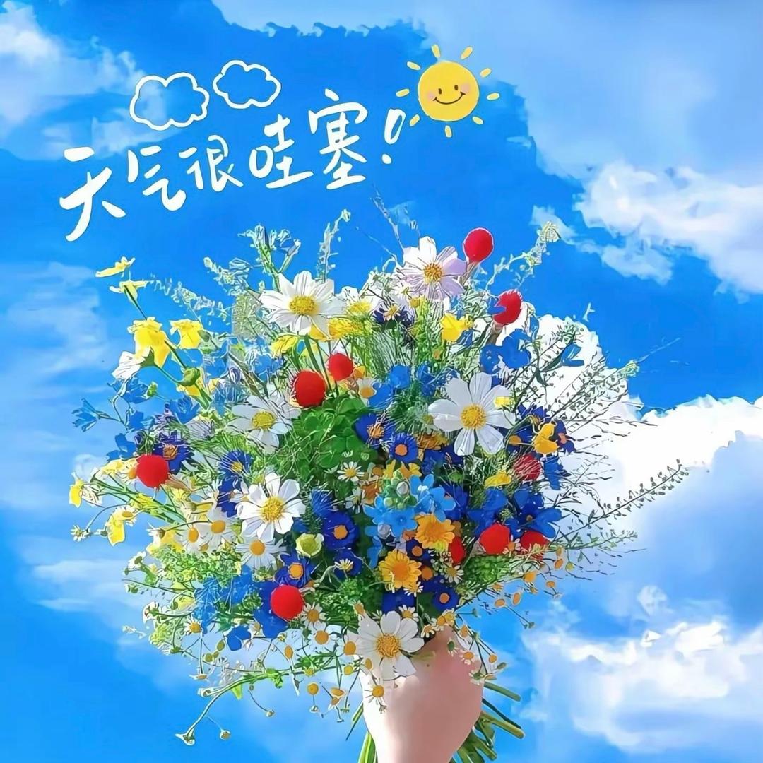志存高远²