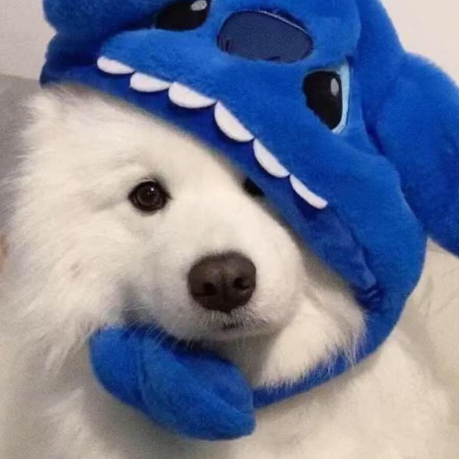 欧浪趴