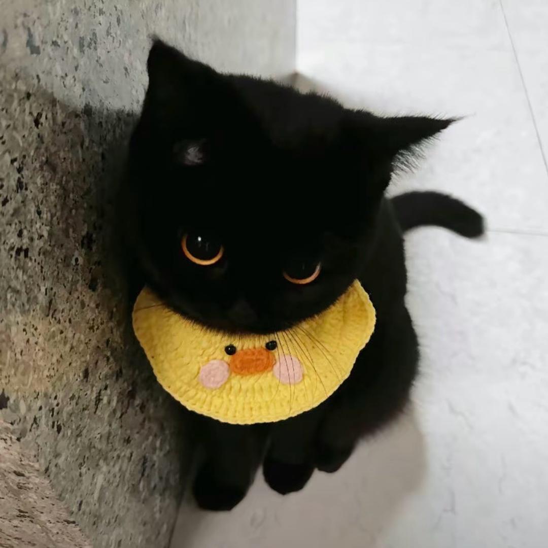 sssssrly