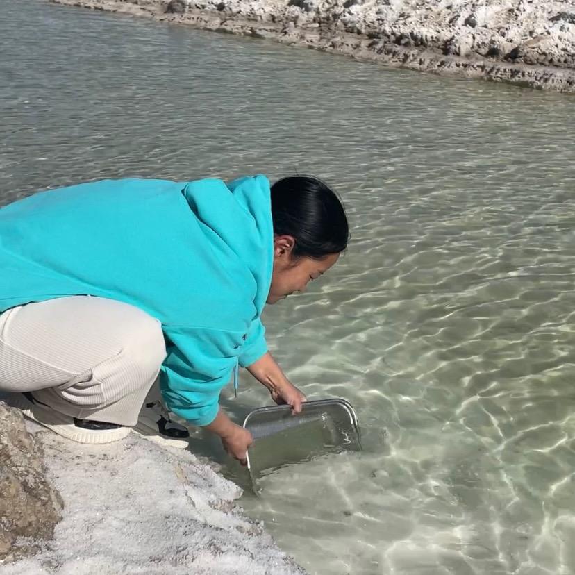 茶卡盐湖粗盐