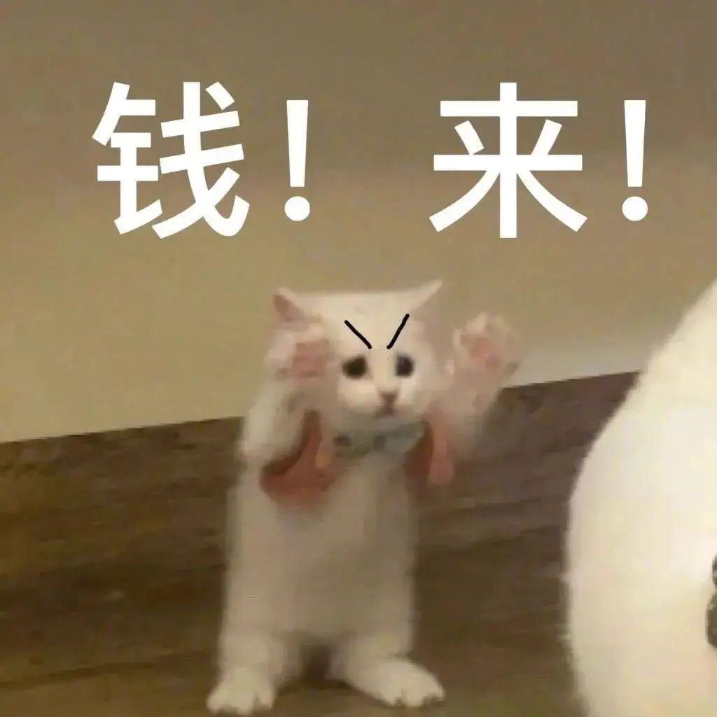 不开心小哑巴