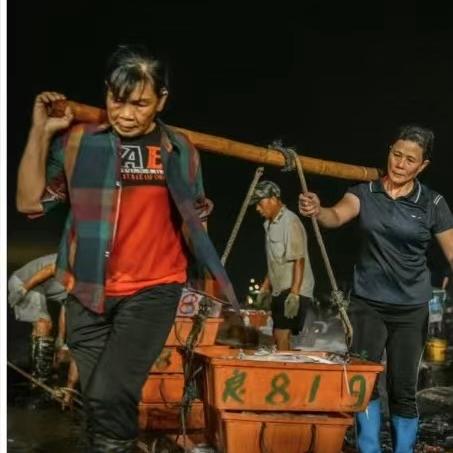 惠来海产创意屋