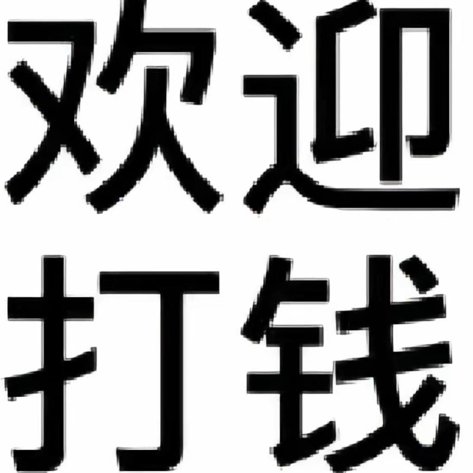 随便（制造小说）