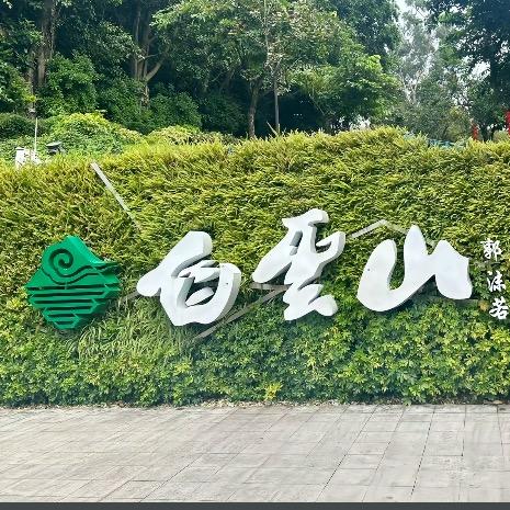 逆境追梦