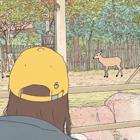 抹茶曲奇🌾