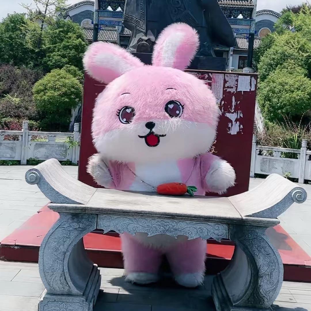 🐰皮皮—（甜甜兔户外）！