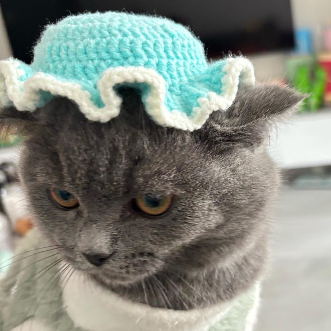。。